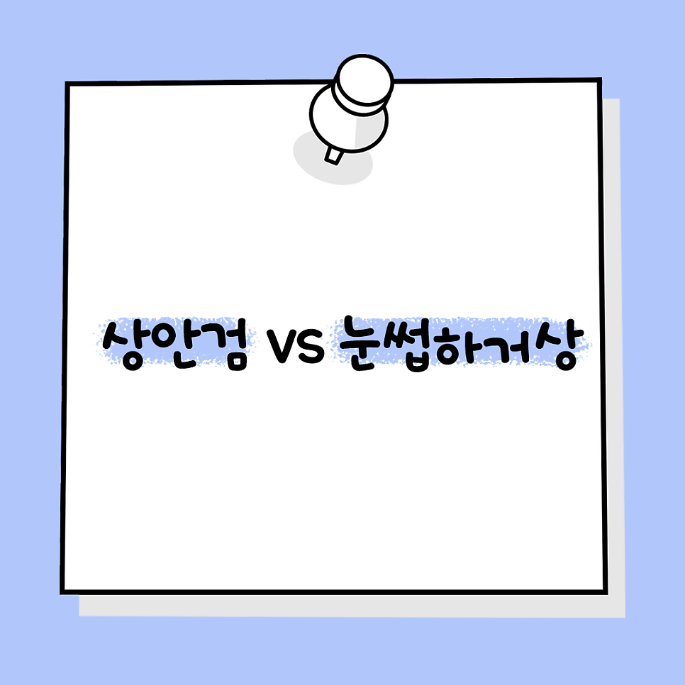 상안검성형 안내 이미지