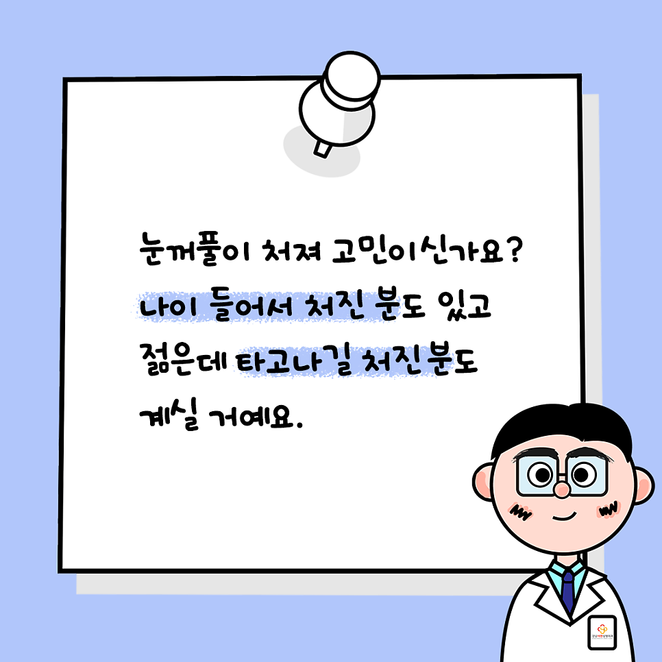 상안검성형 설명 도해