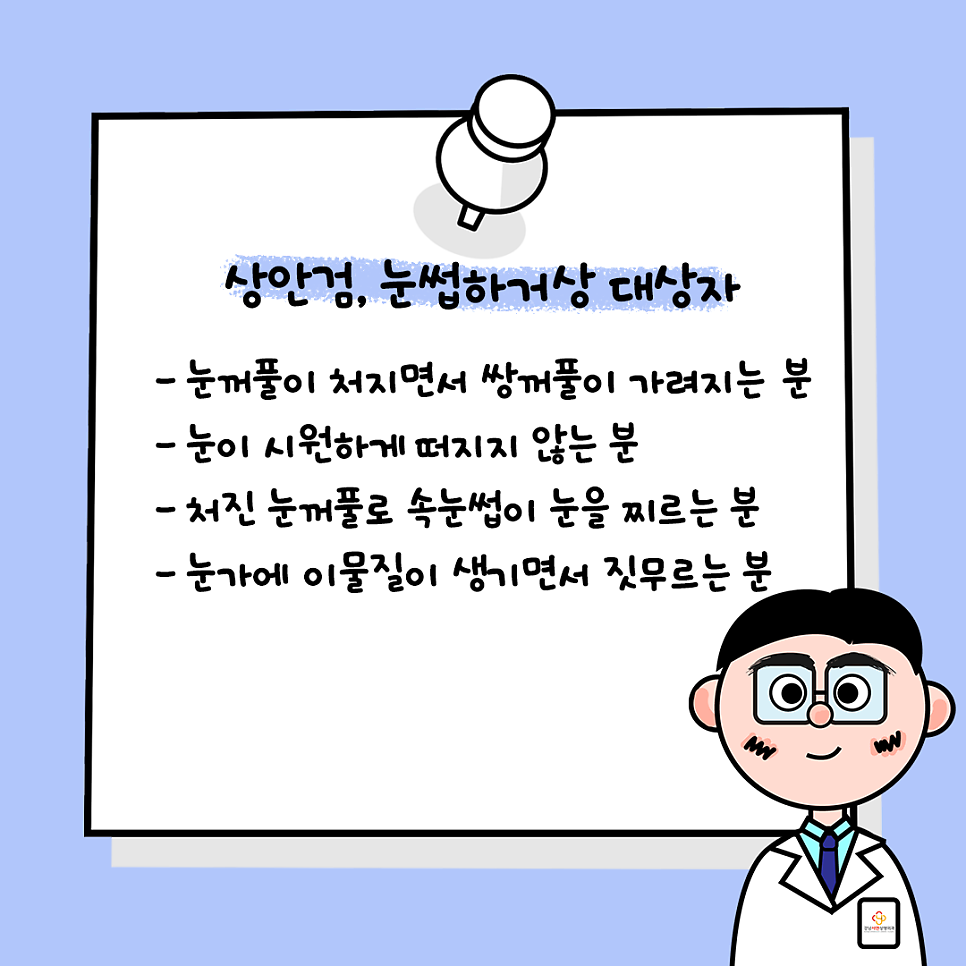 상안검성형 설명 도해
