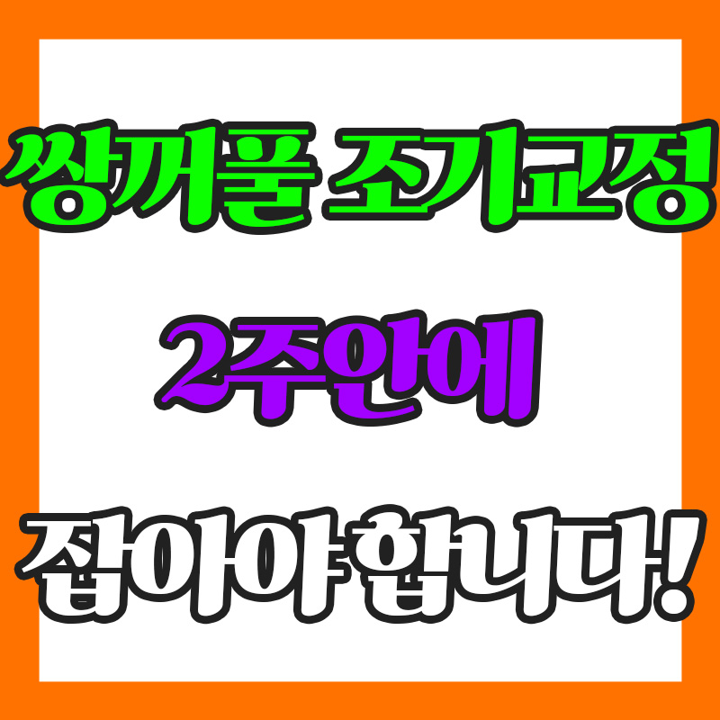 쌍꺼풀 조기재교정 안내 이미지