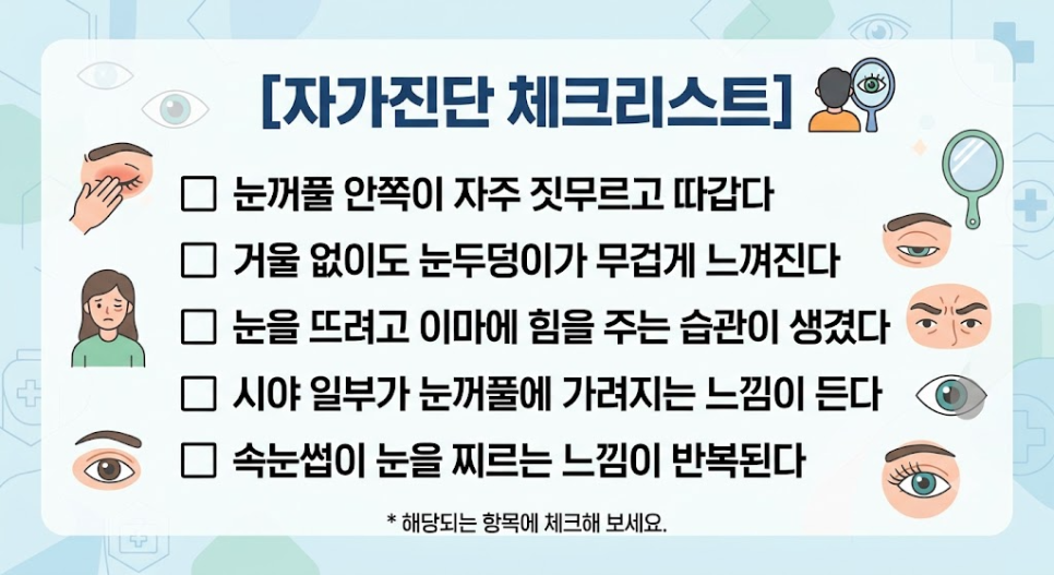 상안검성형 설명 도해